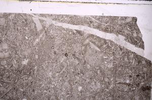 Plane Polarized, E44468