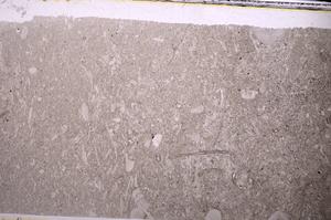 Plane Polarized, E44471
