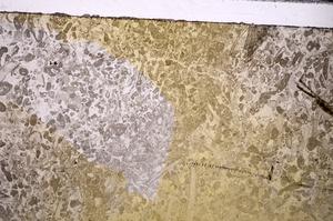 Plane Polarized, E44473