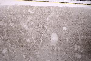 Plane Polarized, E44477