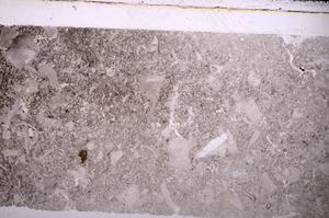 Plane Polarized, E44483