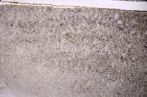 Plane Polarized, E44484