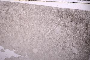 Plane Polarized, E44492