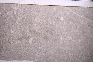 Plane Polarized, E44495