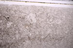 Plane Polarized, E44496