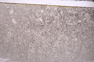 Plane Polarized, E44497