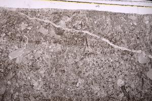 Plane Polarized, E44498
