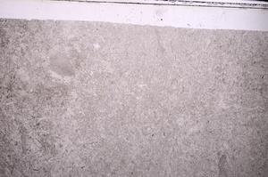 Plane Polarized, E44499