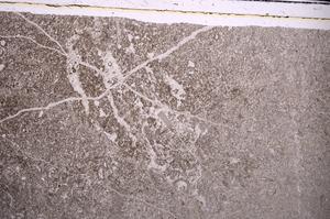 Plane Polarized, E44501