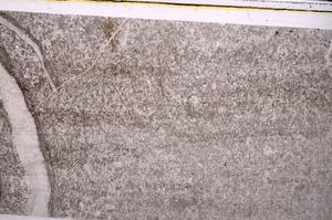 Plane Polarized, E44502