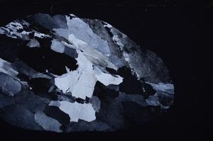 Cross Polarized, E44506