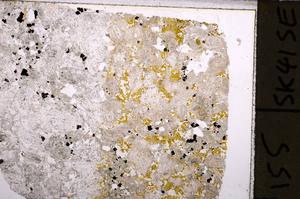 Plane Polarized, E44545