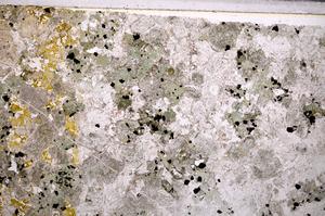 Plane Polarized, E44548