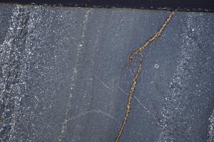 Cross Polarized, E44549