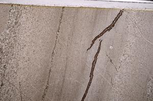 Plane Polarized, E44549