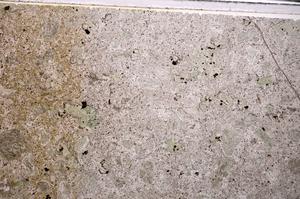 Plane Polarized, E44551