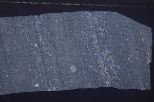 Cross Polarized, E44555