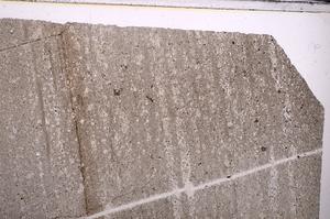 Plane Polarized, E44556