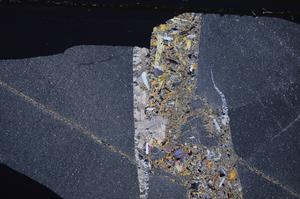 Cross Polarized, E44557