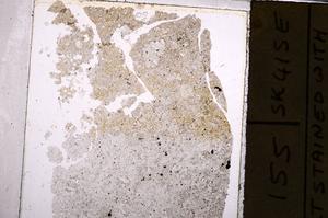 Plane Polarized, E44564