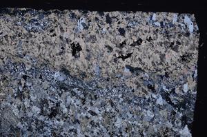 Cross Polarized, E44565