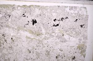 Plane Polarized, E44565