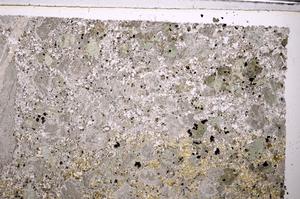 Plane Polarized, E44566