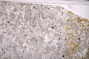 Plane Polarized, E44567