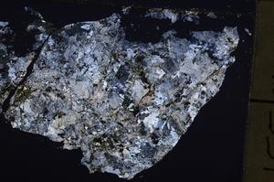 Cross Polarized, E44568