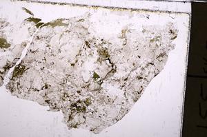 Plane Polarized, E44568