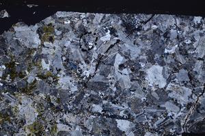 Cross Polarized, E44569