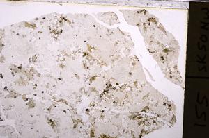 Plane Polarized, E44572
