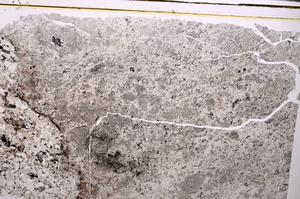 Plane Polarized, E44602