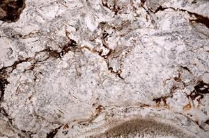 Plane Polarized, E44624/B