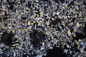 Cross Polarized, E44631/B