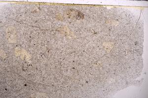 Plane Polarized, E44674