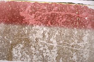 Plane Polarized, E44690