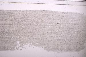 Plane Polarized, E44707