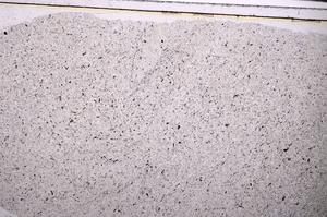 Plane Polarized, E44711