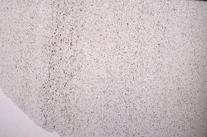 Plane Polarized, E44712