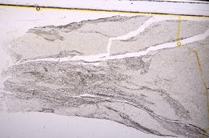 Plane Polarized, E44714