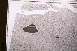 Plane Polarized, E44715