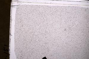 Plane Polarized, E44717