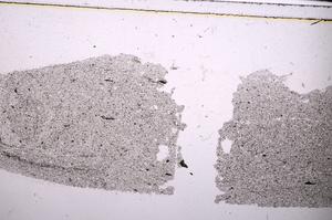 Plane Polarized, E44718