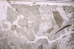 Plane Polarized, E44736