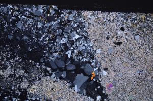 Cross Polarized, E44740