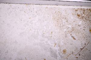 Plane Polarized, E44740