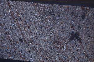 Cross Polarized, E44763