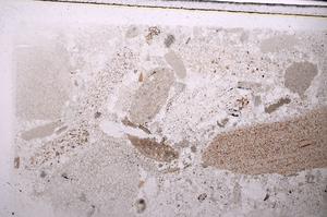 Plane Polarized, E44774