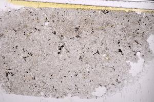 Plane Polarized, E44790